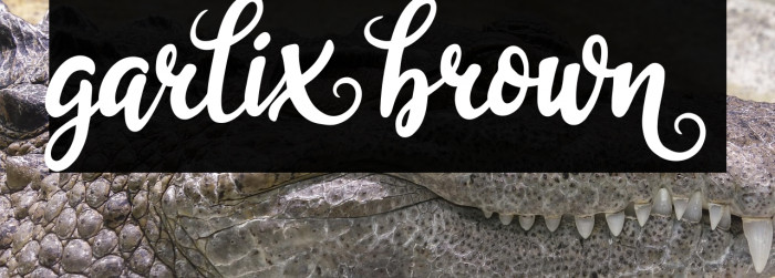 garliXbrowN Example 2