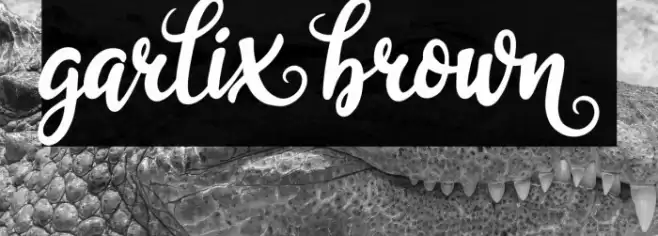 garliXbrowN Font examples