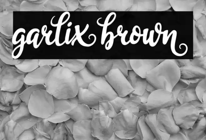 garliXbrowN Font examples