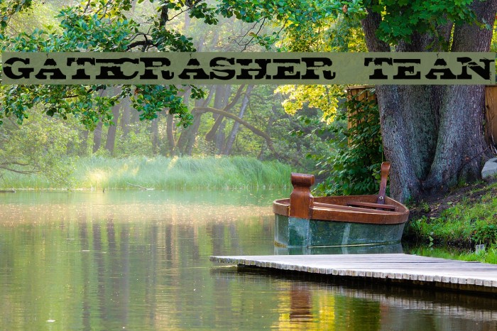 gatecrasher texan Font examples