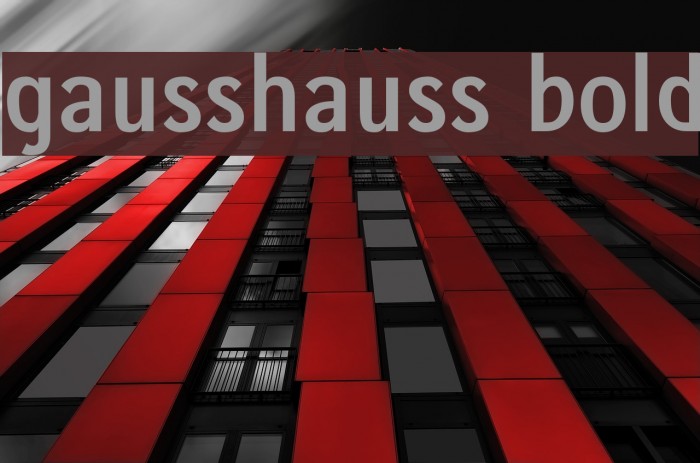 gausshauss bold Example 1