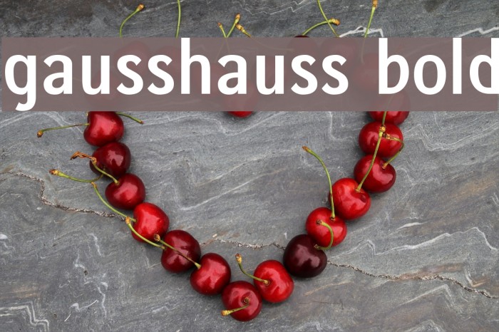 gausshauss bold Example 3