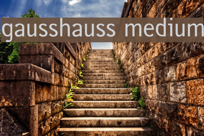 gausshauss medium Example 1