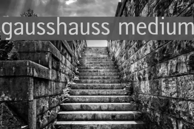 gausshauss medium Font examples