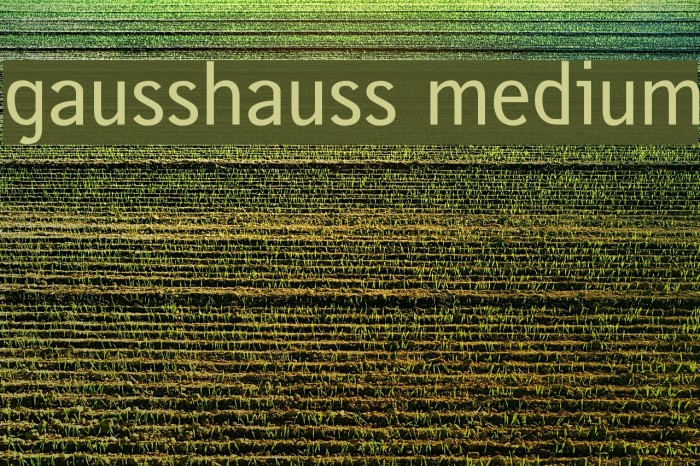 gausshauss medium Example 2