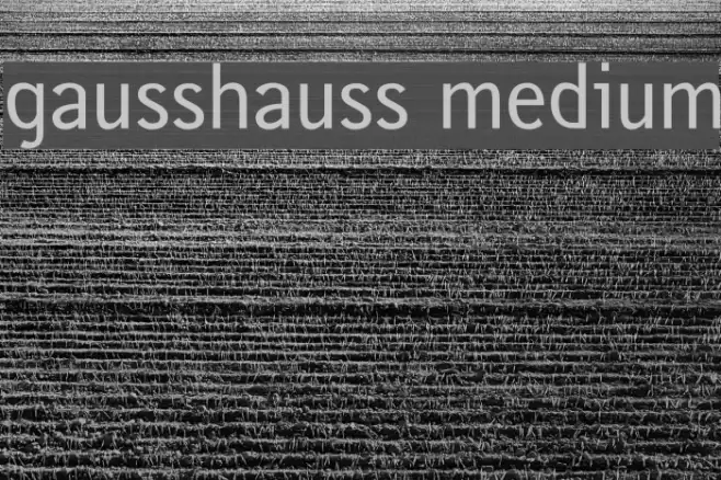 gausshauss medium Font examples