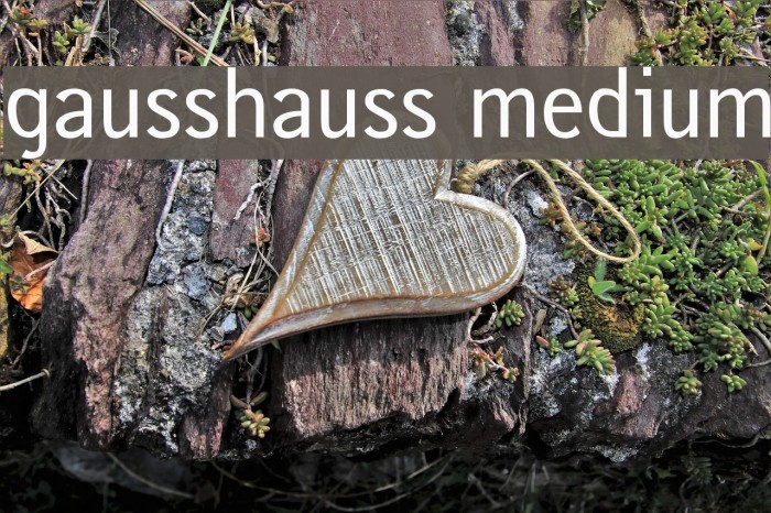 gausshauss medium Example 3