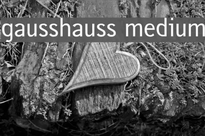 gausshauss medium Font examples