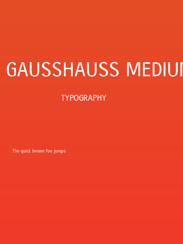 gausshauss medium Poster