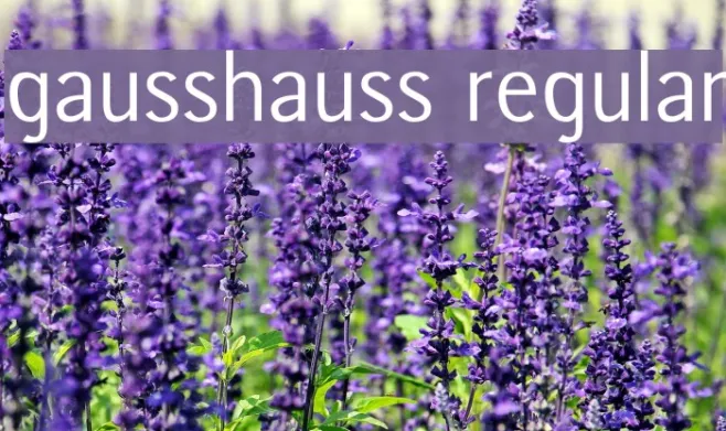 gausshauss regular Example 1