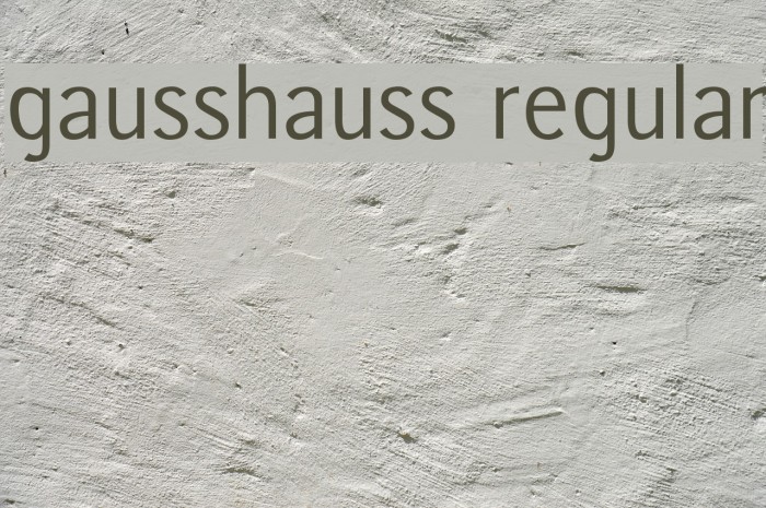 gausshauss regular Font examples