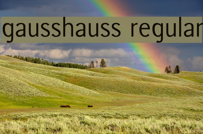 gausshauss regular Font examples