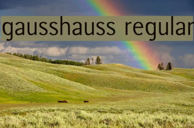 gausshauss regular Example 3