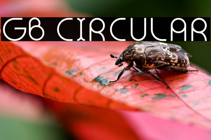 GB Circular Example 2