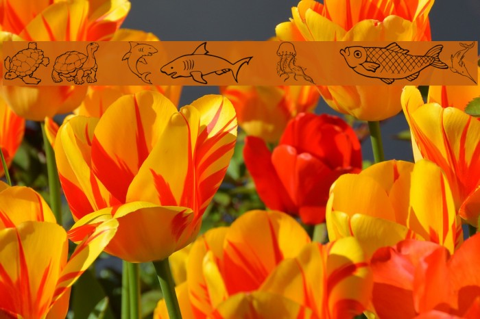 GE Out To Sea Example 1