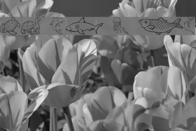 GE Out To Sea Font examples