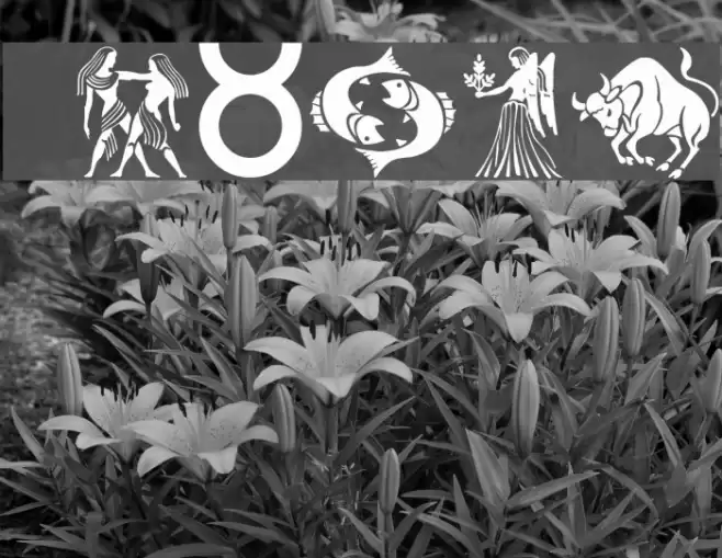 GE Zodiac Font examples