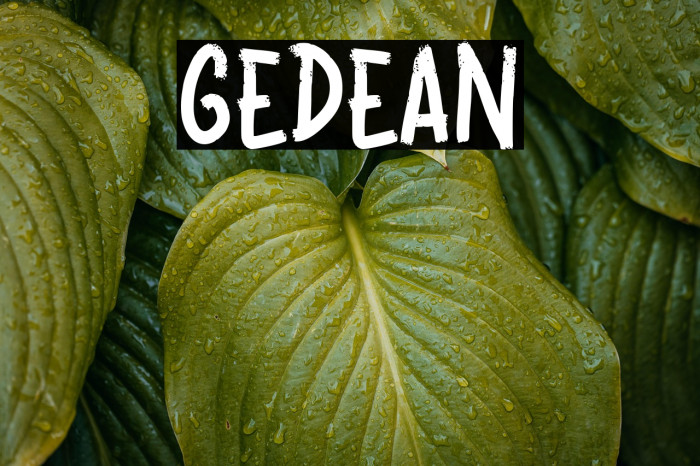 GEDEAN Example 2