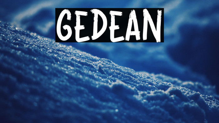 GEDEAN Example 3