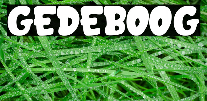 GEDEBOOG Font examples