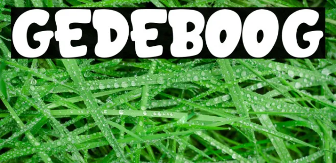GEDEBOOG Example 2