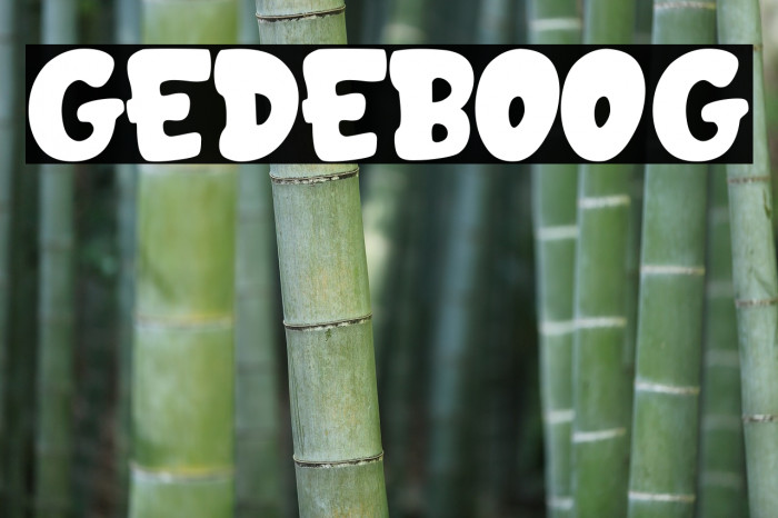GEDEBOOG Font examples