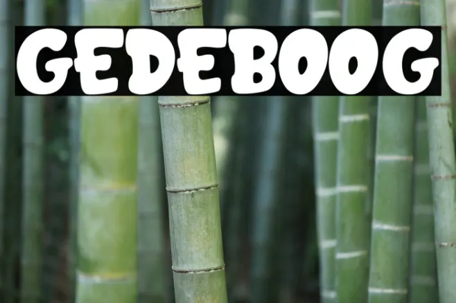 GEDEBOOG Example 3