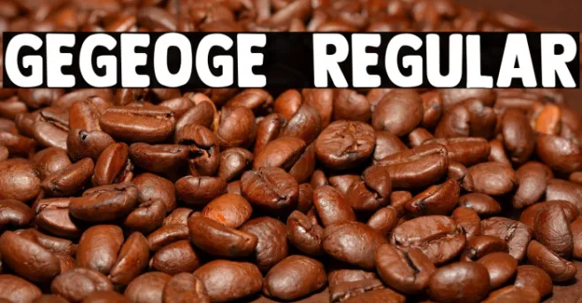 GEGEOGE  Regular Example 3