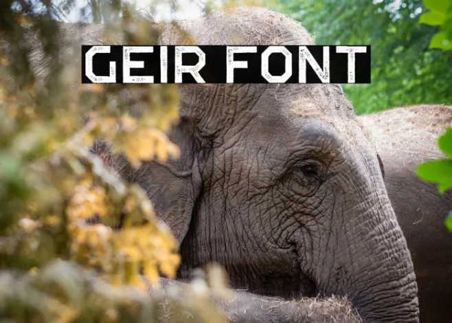 GEIR Example 1