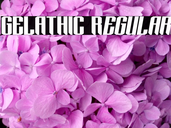 GELATHIC Regular Example 3