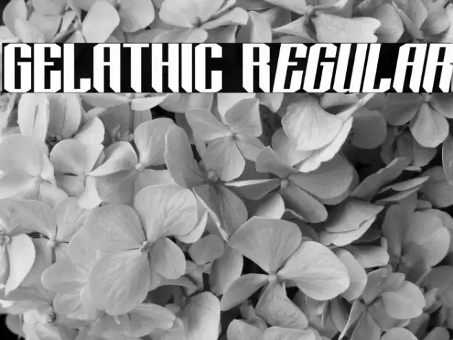 GELATHIC Regular フォント examples