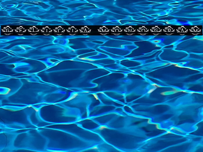 GELICIA MONOGRAM Example 2