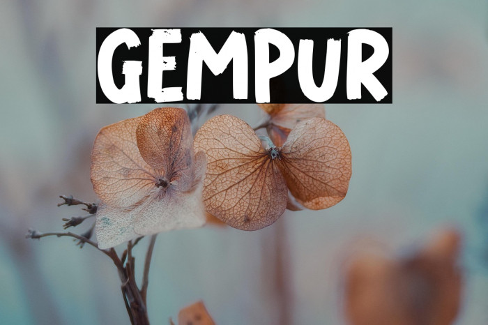 GEMPUR Example 1