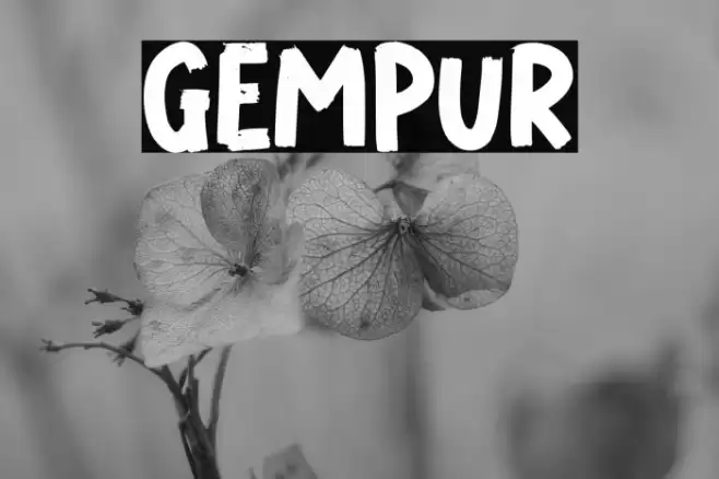 GEMPUR Font examples