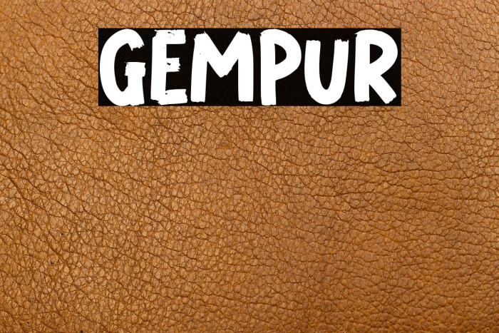 GEMPUR Example 2