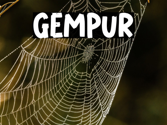 GEMPUR Example 3