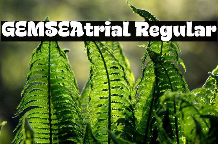 GEMSEAtrial Regular Example 1