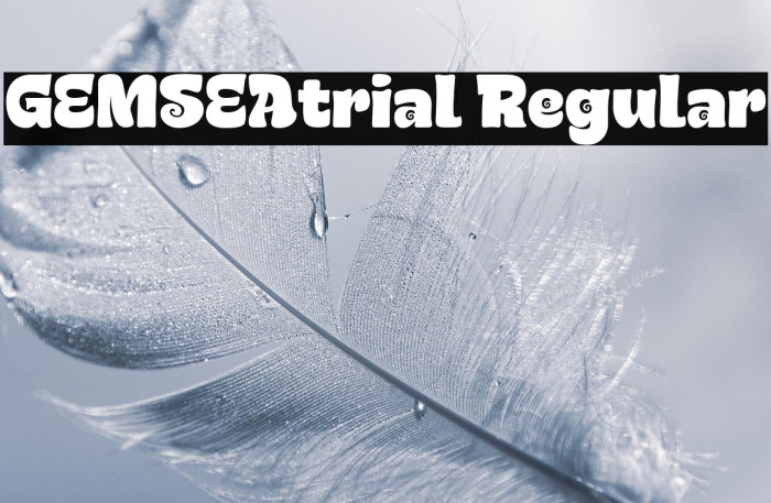 GEMSEAtrial Regular Example 3