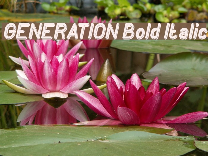 GENERATION Bold Italic Example 3