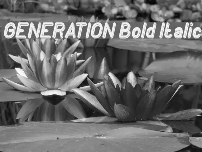 GENERATION Bold Italic Font examples