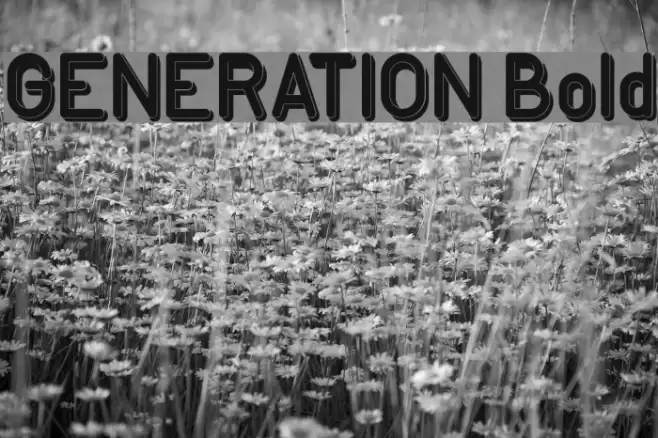 GENERATION Bold Font examples