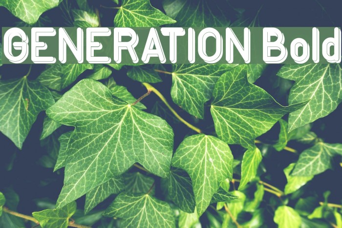 GENERATION Bold Font examples