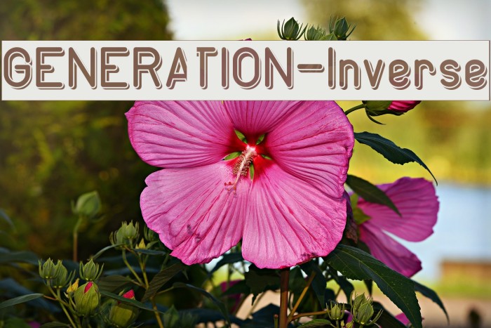 GENERATION-Inverse Font examples