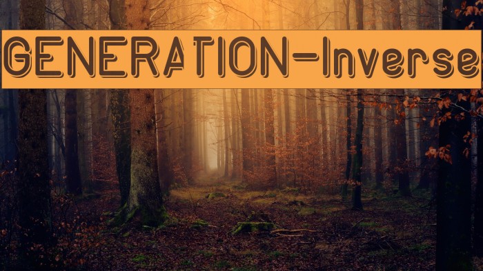 GENERATION-Inverse Font examples