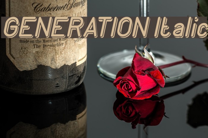 GENERATION Italic Font examples