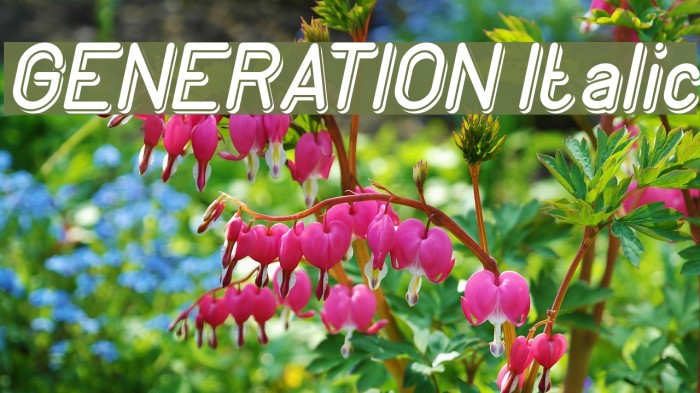 GENERATION Italic Font examples