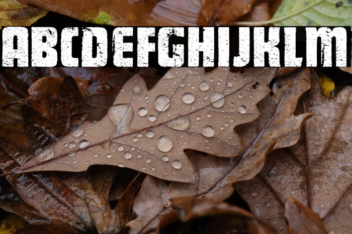 GENERATOR PERSONAL USE  Example 1