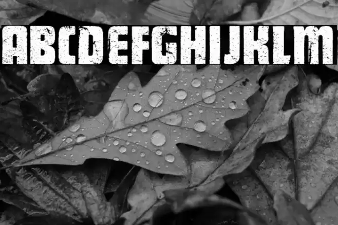 GENERATOR PERSONAL USE  Font examples