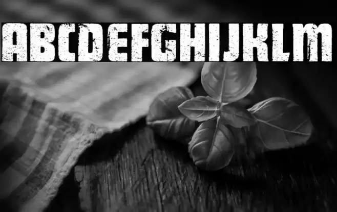 GENERATOR PERSONAL USE  Font examples