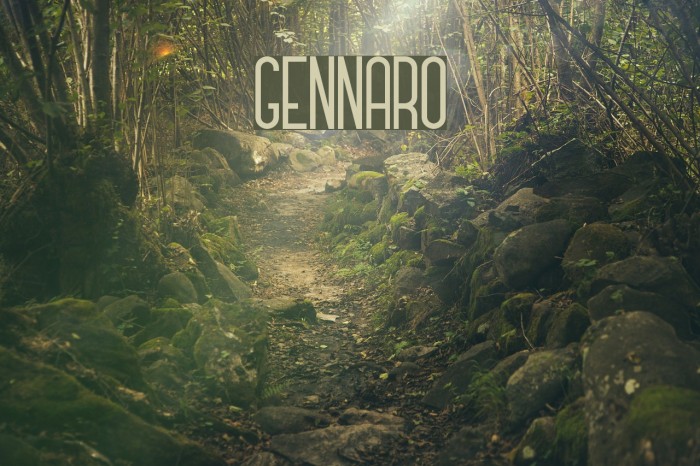 GENNARO Font examples